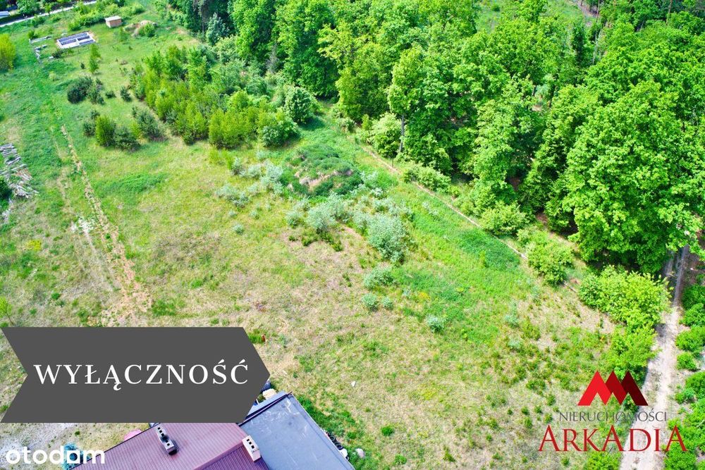 działka 1000 m² z WZ w Aleksandrowie Kujawskim