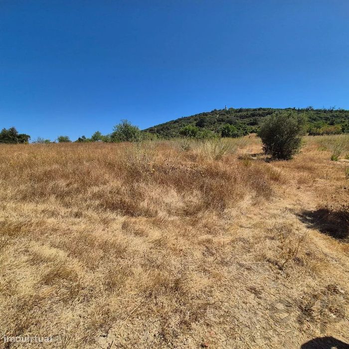 Terreno Rústico em Santa Bárbara de Nexe
