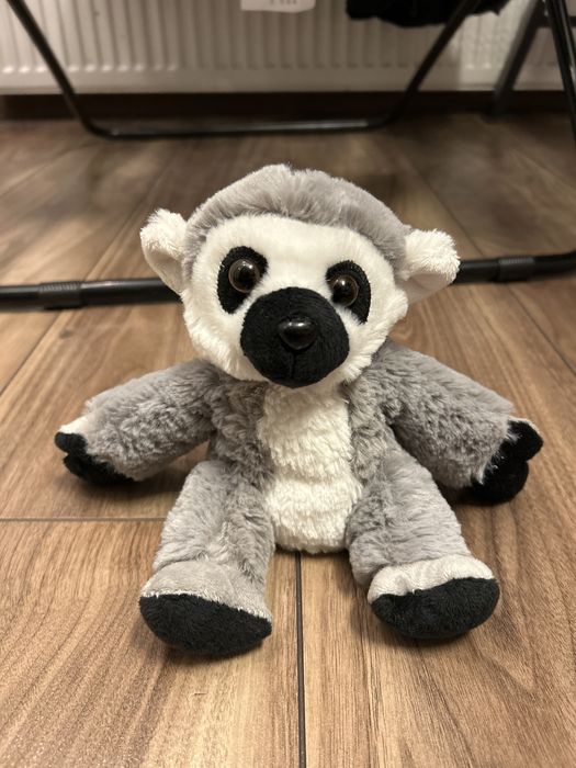 Mały pluszak lemur