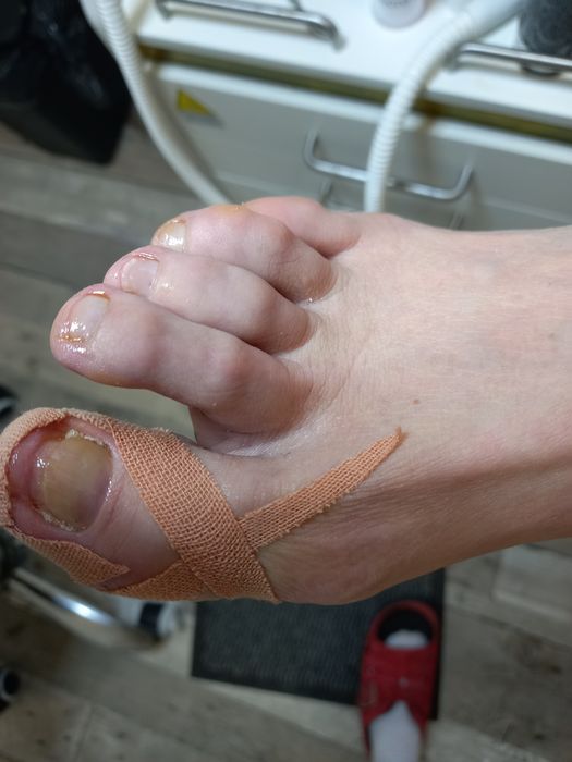 Mobilny Podolog na teranie Poznania i okolic