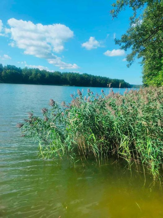 Atrakcyjna działka nad jeziorem Bolesty z warunkami zabudowy!