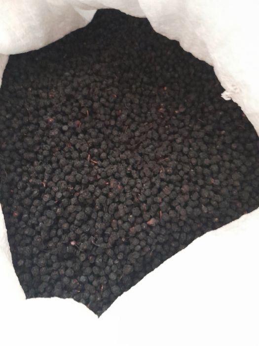 Суха чорниця 2025