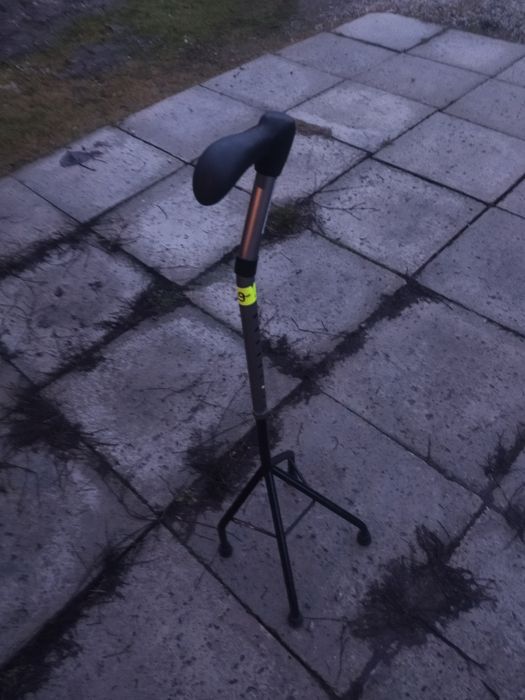 Laska inwalidzka