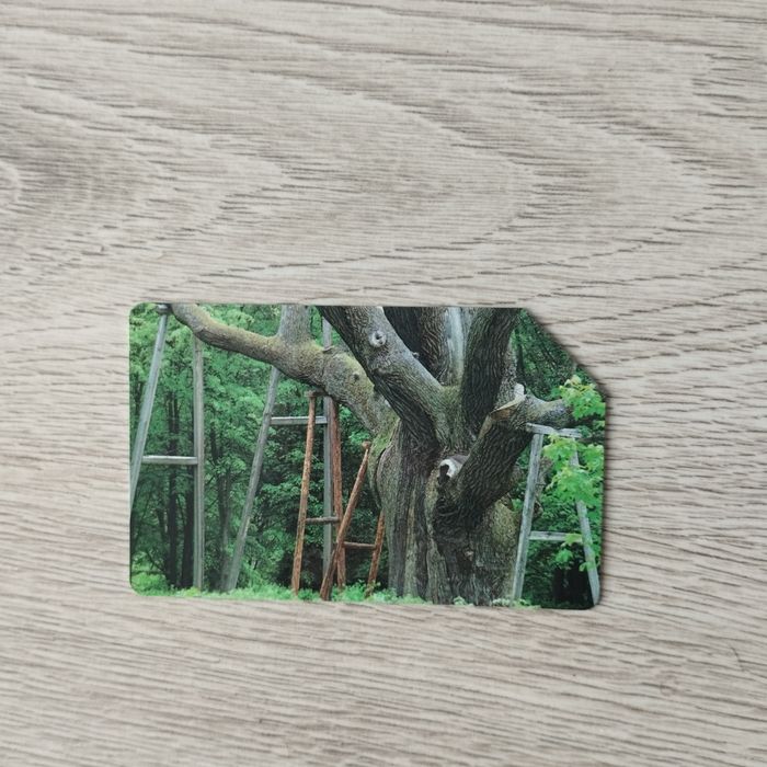 Karta telefoniczna 25 impulsów telekomunikacja Polska Eliza Orzeszkowa