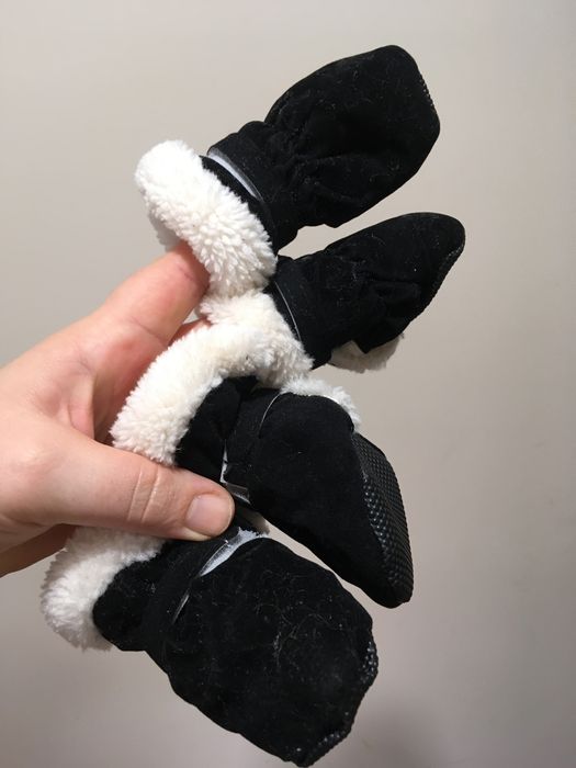 Обувь для собачки.