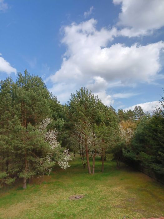 Mazury-DOMEK POD LASEM. Wędkowanie, kajaki, rowery.