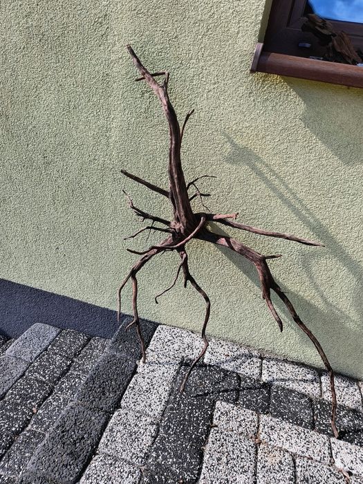 Korzeń do akwarium.tonący, duży