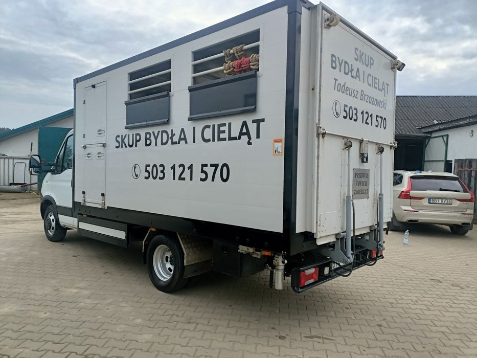 Iveco do Żywca Bydla