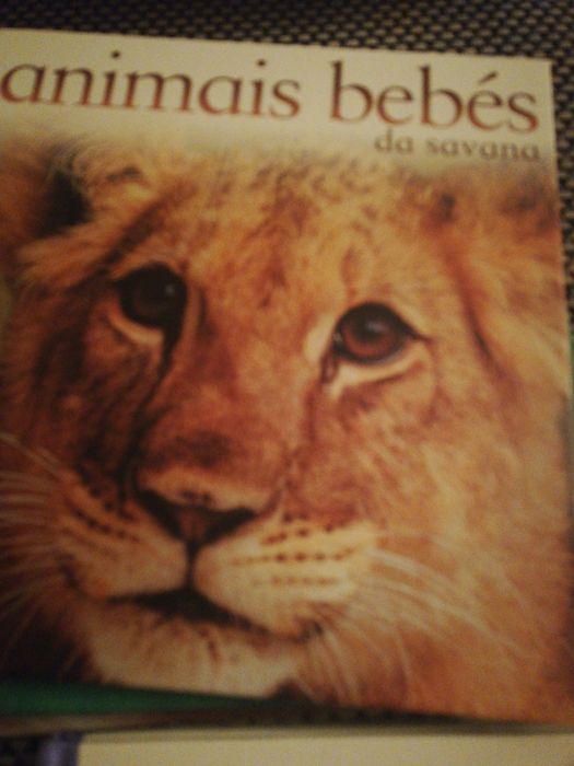 Colecção de livros "Animais bebés"