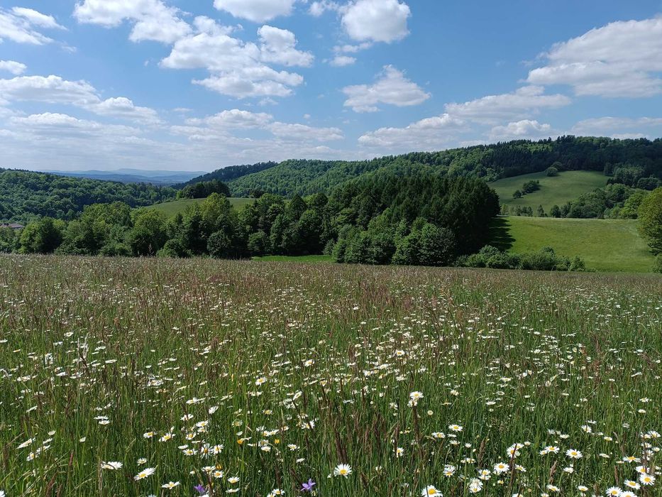Działka rekreacyjna - Wujskie k. Sanoka, widok na Bieszczady