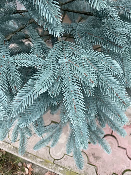 Штучна ялиночка Преміум