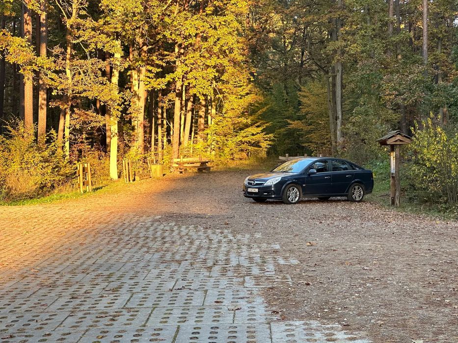 Opel Vectra Opel Vectra C 1.9 CDTI