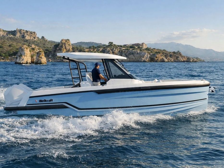 Wellcraft 28 T-Top