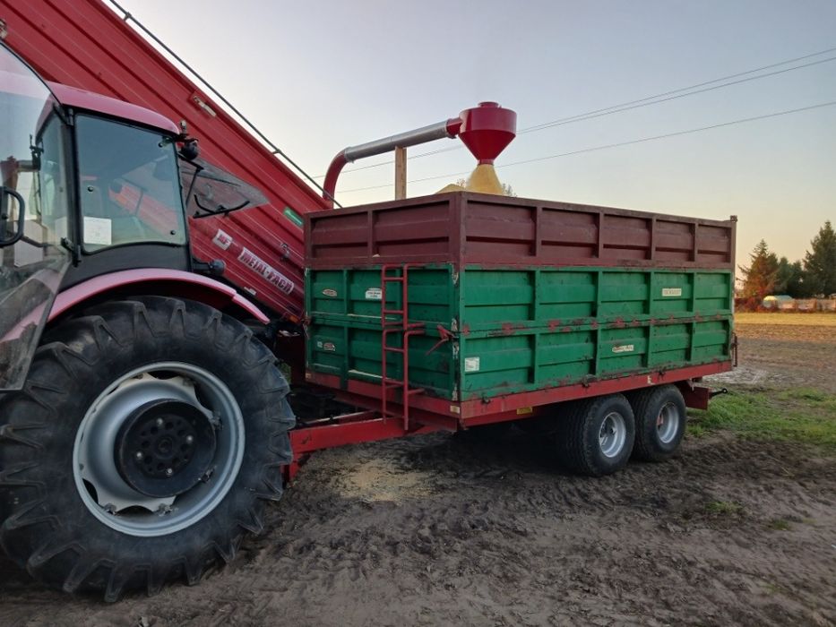 Sprzedam kukurydzę zmielone ziarno ccm