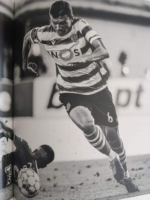 Livro Sporting Campeão