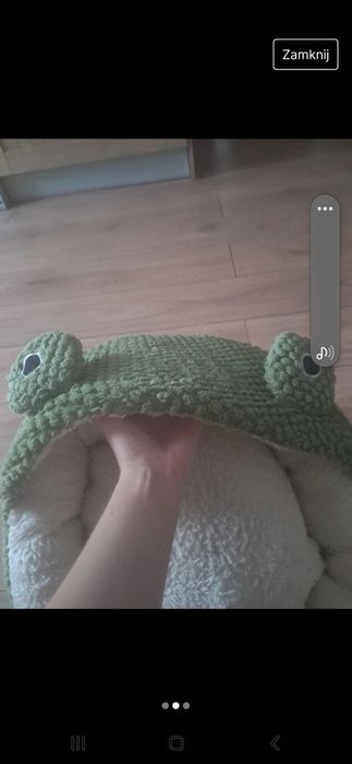 Posłanie żaba dla kota