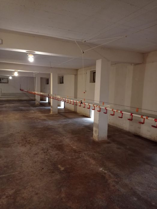 kropelkowe poidła, linia pojenia drobiu