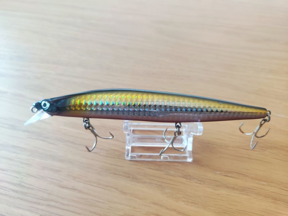 Amostras para pesca ao robalo