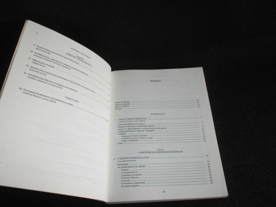 Livro As Regiões Ganhadoras Georges Benko e Alain Lipietz 1ª edição