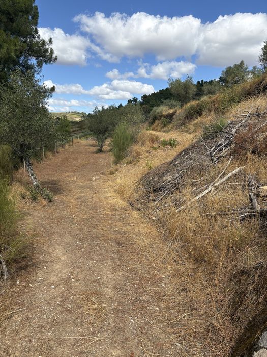 Terreno Murça 5100m
