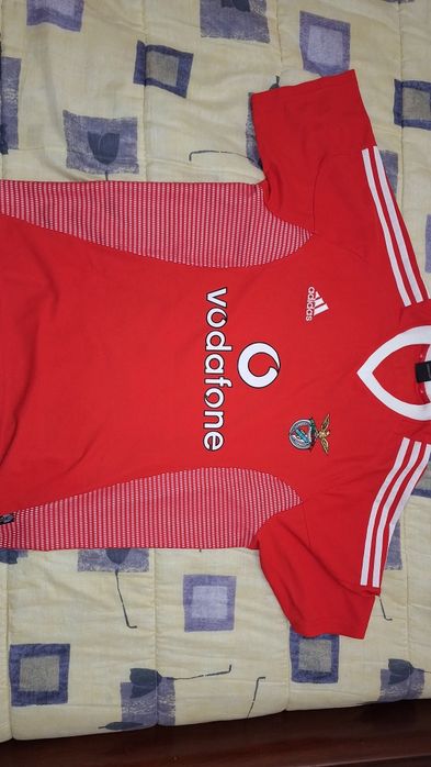 Camisola oficial do Sport Lisboa e Bemfica