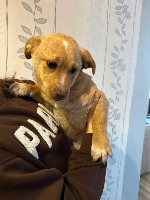 Oddam w dobre ręce !!!