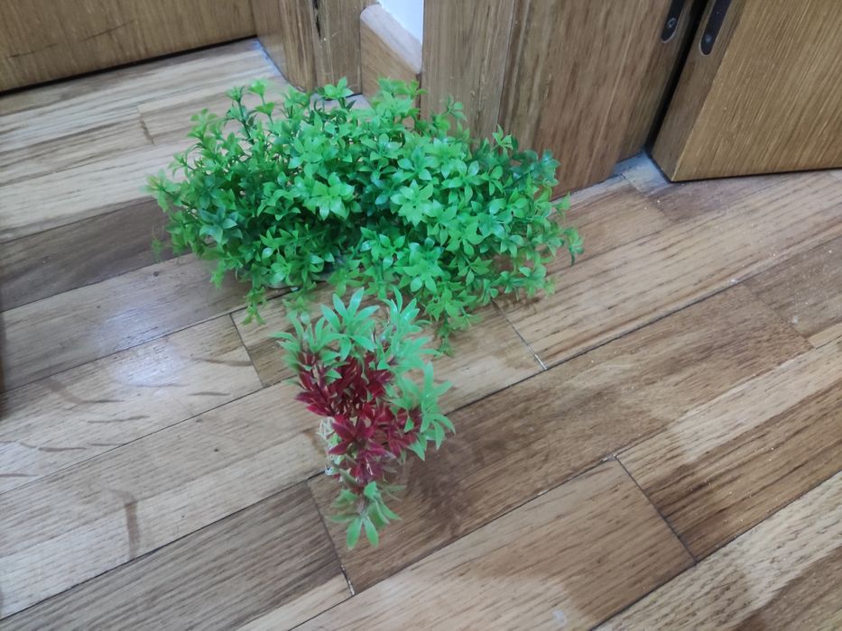 Vendo aquário usado