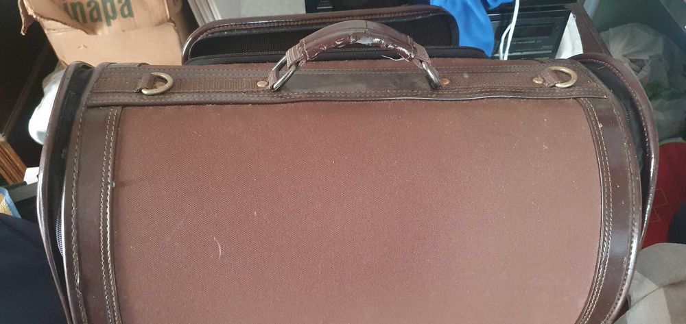 Transportadora de gato/cão (animais)