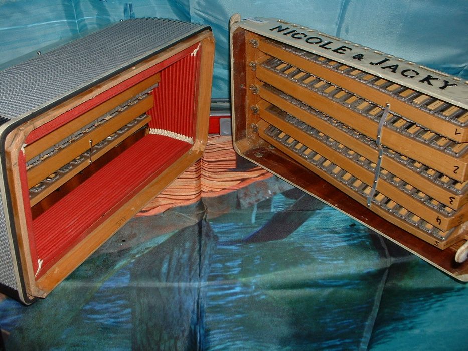 Acordeão Avenda G, .391