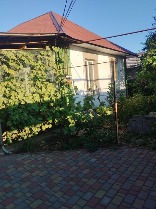 Продам дом село Зоря
