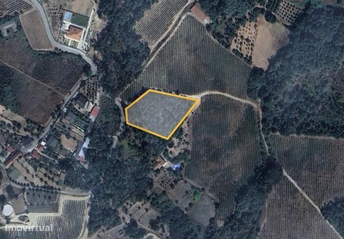 Terreno Urbanizável em Povolide — Santos Evos, Viseu