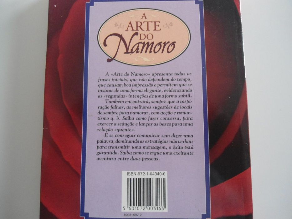 A Arte do Namoro de Susan Rabin e Barbara Lagowshi (1997)