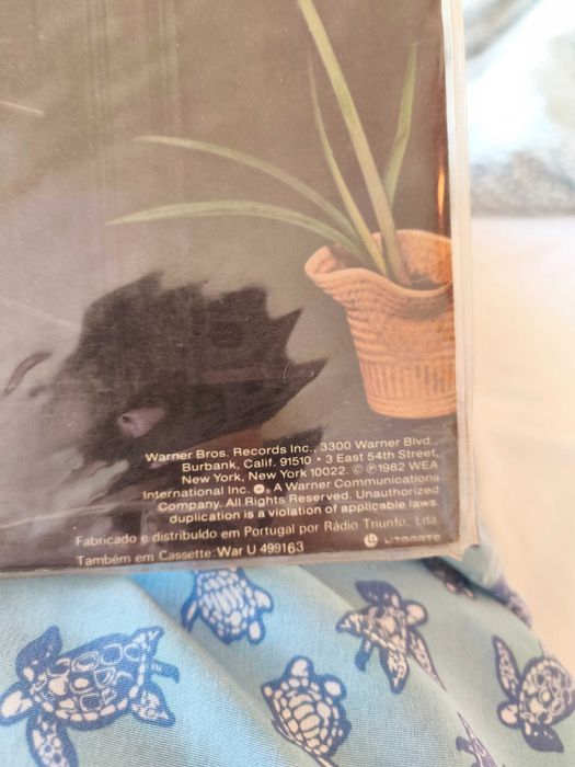 Donna Summer – Donna Summer LP vinil