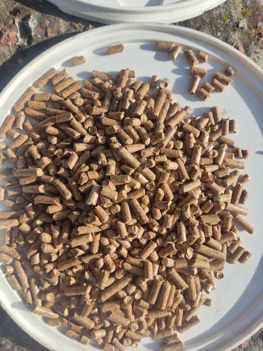 Пелети з західної України Дуб Смерека пилеты пиллеты гранула пілети