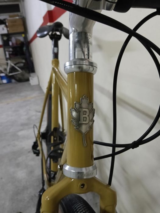 Quadro Brother cycles Kepler