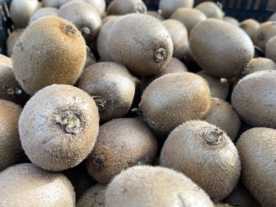 Kiwi Biologico Maribel