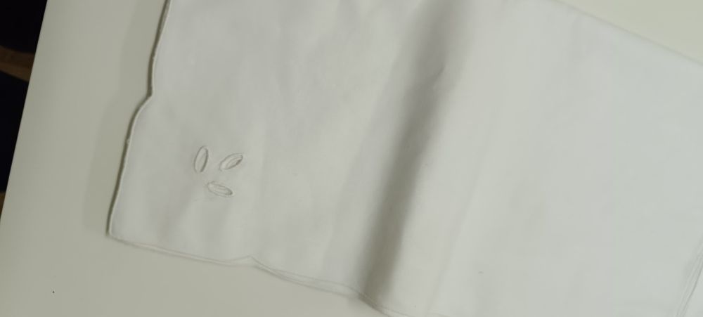 Toalha de mesa, bordada à mão+ 12 guardanapos bordados. Branca