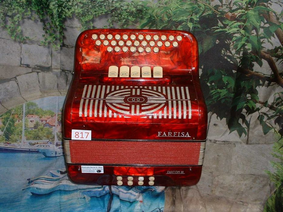 Concertinas a venda N.817 Penedono • OLX Portugal