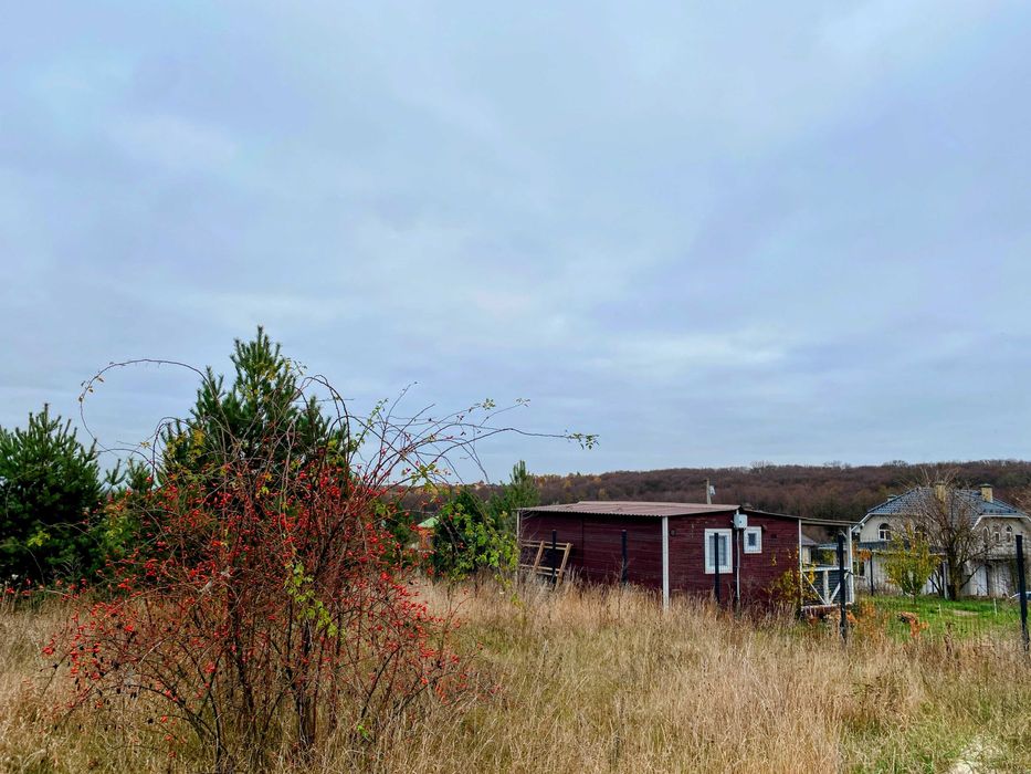 Продаж унікальної ділянки 9 сот з Соснами та видом на Заповідний ліс.