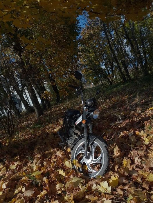 Мустанг дельта продам