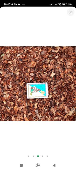 Субстрат для розсади