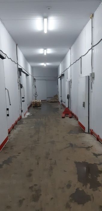 Здам в оренду холодильні складські приміщуння від 40 м.кв