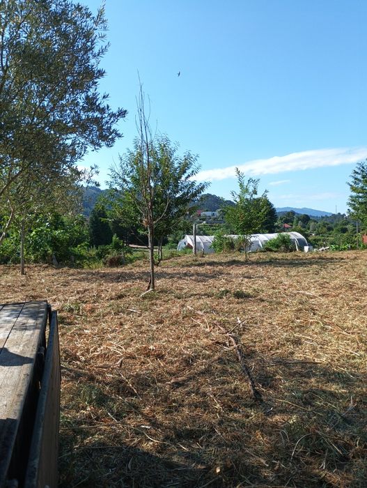 Limpeza dê terrenos e jardim