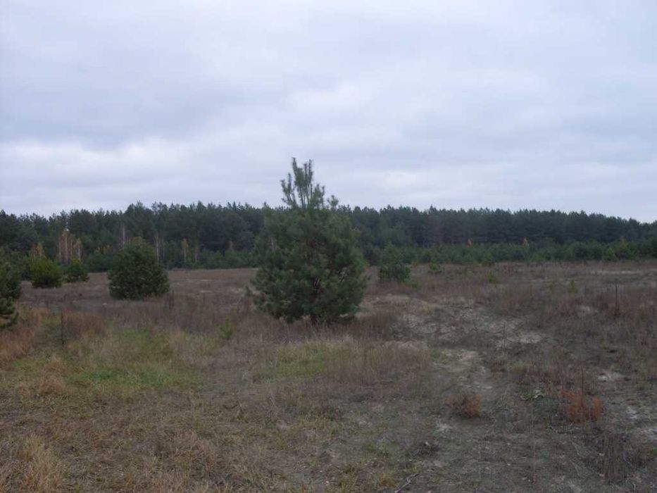 Продам участок Макаровский район, с.Юров – 14 га - View 4