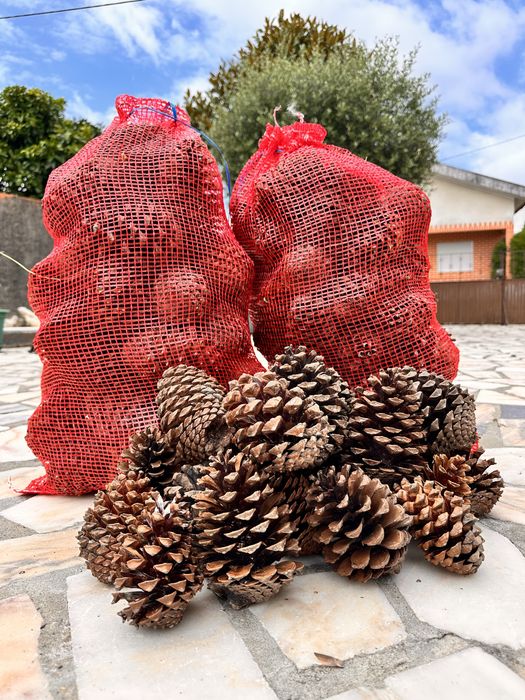 VENDO PINHAS e entrego ao domicilio !