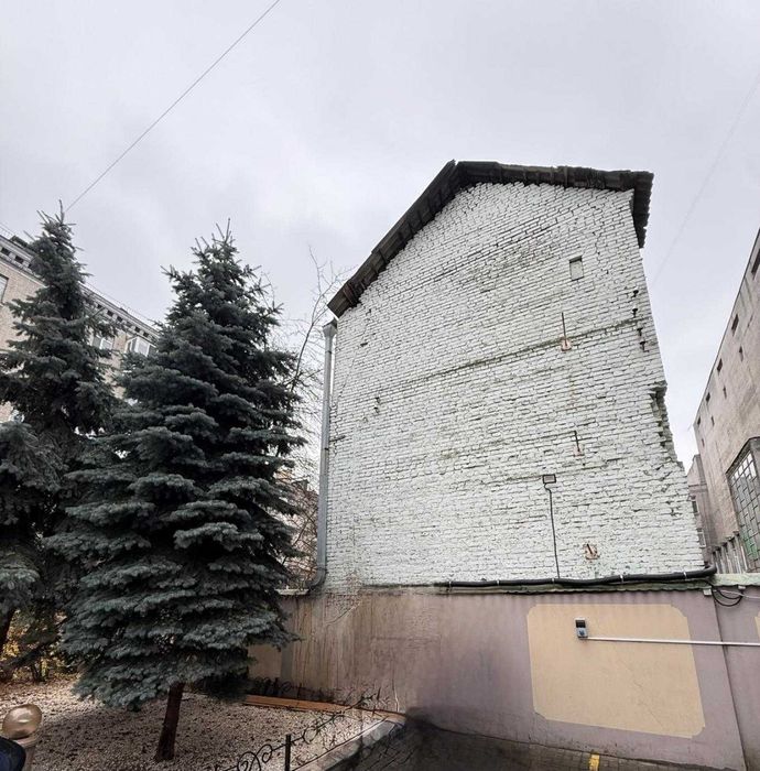Продаж окремо стояча будівля [345м2], Під реконструкцію. Підвал, центр