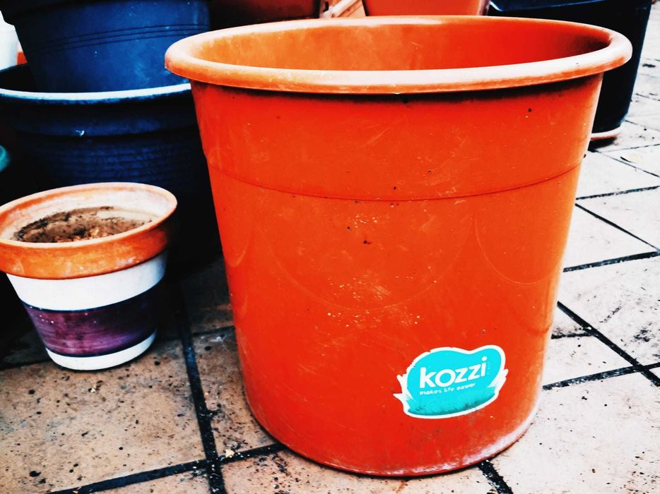 Vasos de plantas todos os tamanhos