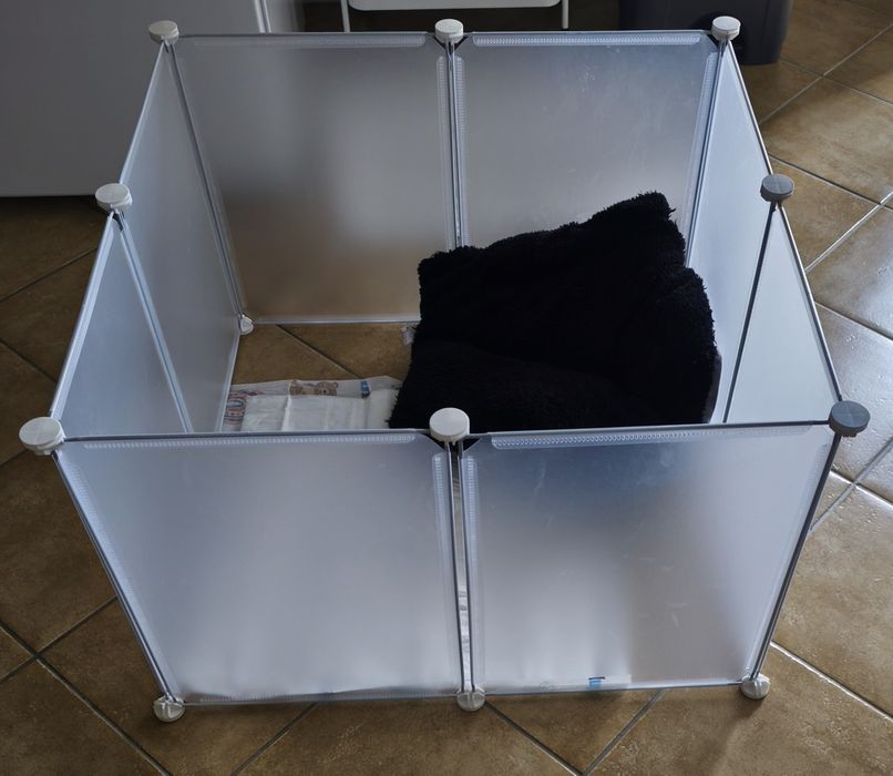 Parque de treino para cachorros