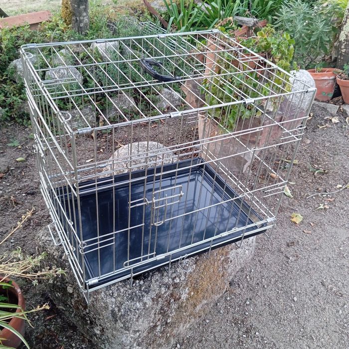 Jaula metálica para cão
