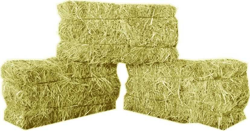 Fardos de palha 2025